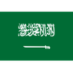 logo web