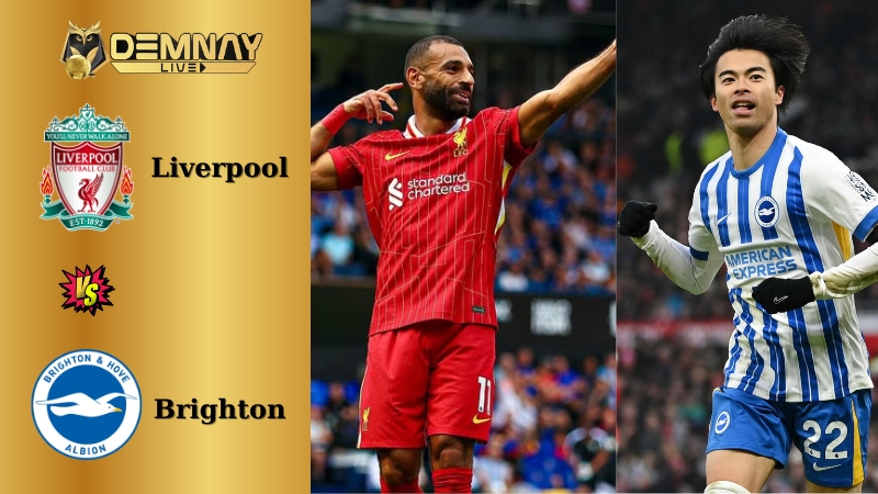 Liverpool đấu Brighton