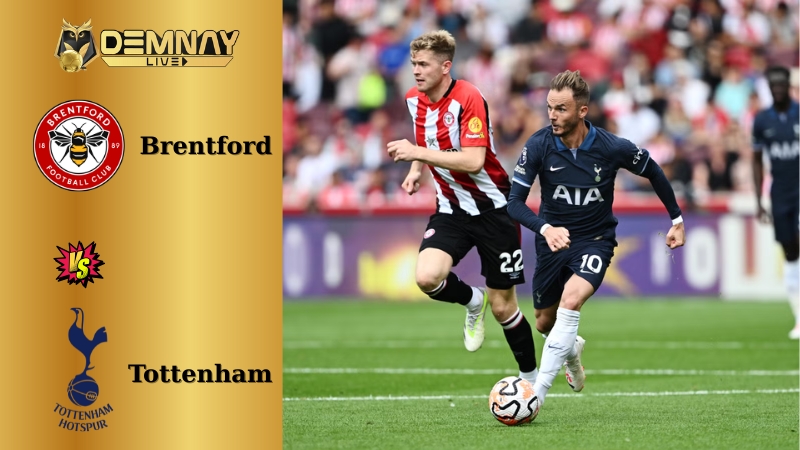 Brentford vs Tottenham