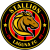 Stallion W logo